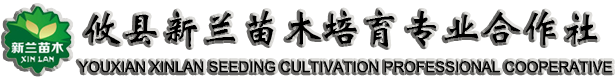 攸县新兰苗木培育专业合作社
