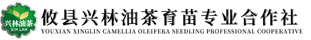攸县新兰苗木培育专业合作社