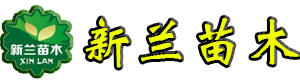 攸县新兰苗木培育专业合作社