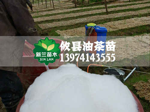 田间的管理