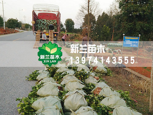 装车打包