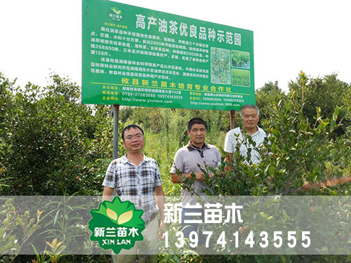 湖南衡阳客户