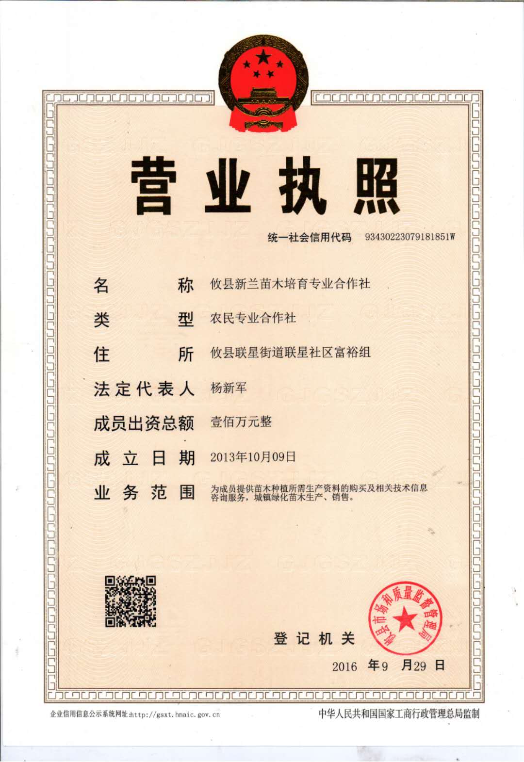 湖南油茶苗批发基地