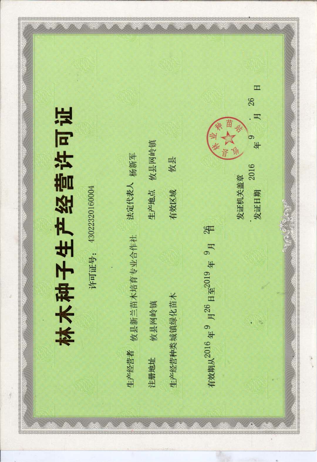 湖南油茶苗批发基地